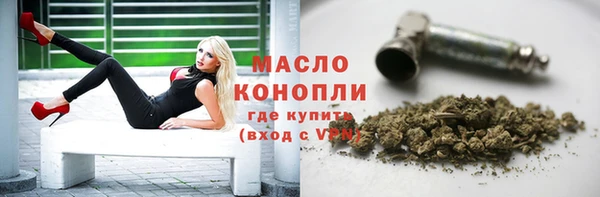 молекула духа Осинники