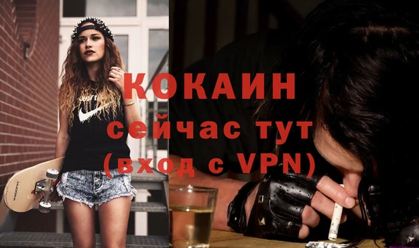 молекула духа Осинники