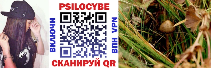 Галлюциногенные грибы ЛСД  Купить где  Коркино 